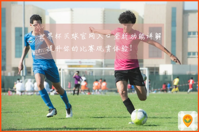 世界杯买球官网入口全新功能详解，提升你的比赛观赏体验！