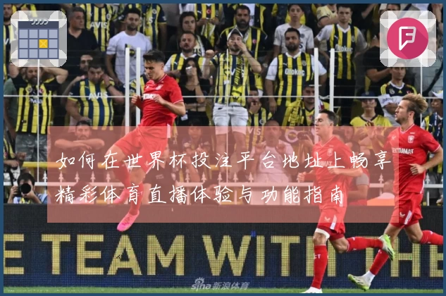 如何在世界杯投注平台地址上畅享精彩体育直播体验与功能指南