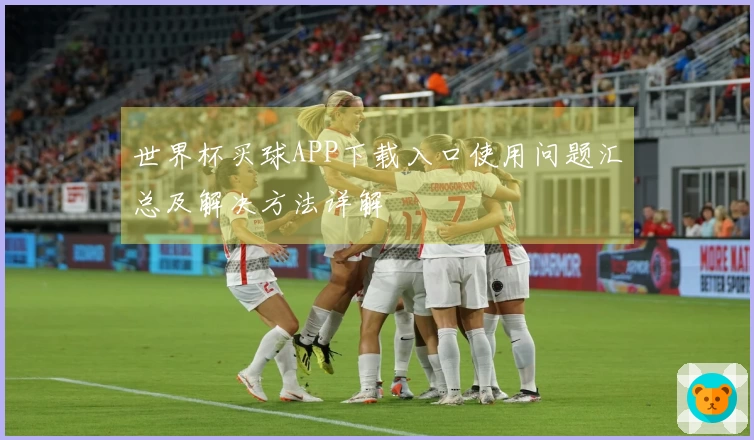 世界杯买球APP下载入口使用问题汇总及解决方法详解