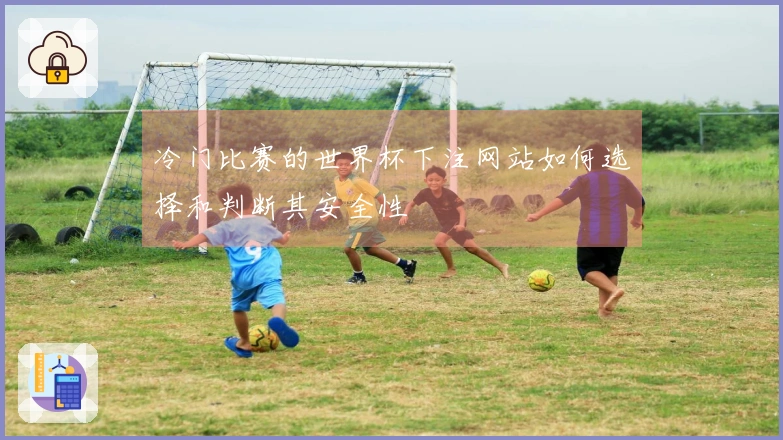 冷门比赛的世界杯下注网站如何选择和判断其安全性