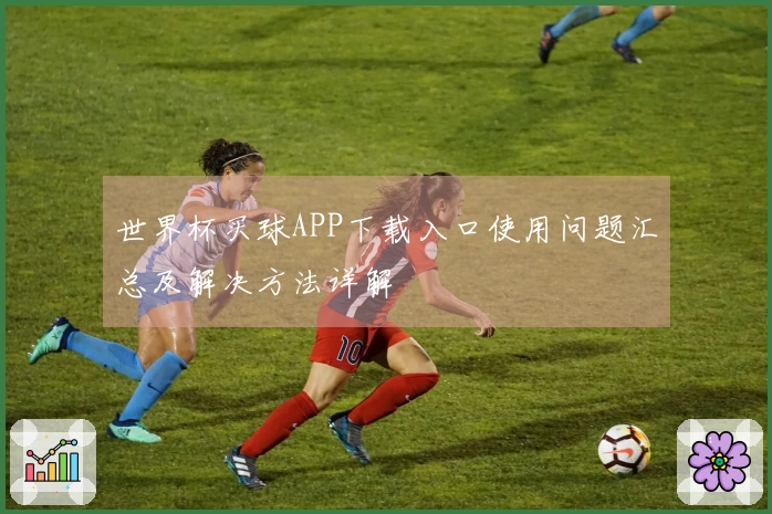世界杯买球APP下载入口使用问题汇总及解决方法详解