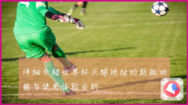 详细介绍世界杯买球地址的新版功能与使用体验分析