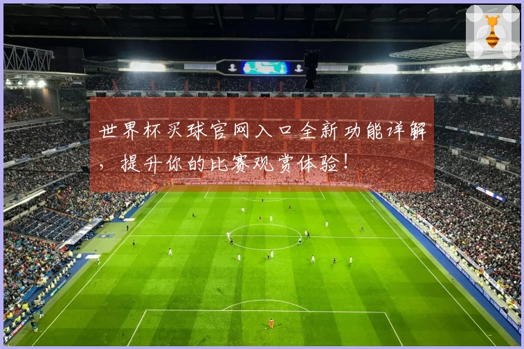 世界杯买球官网入口全新功能详解，提升你的比赛观赏体验！