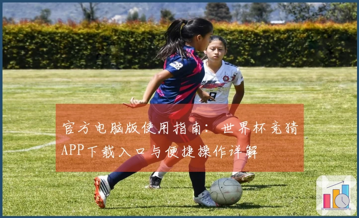 官方电脑版使用指南:世界杯竞猜APP下载入口与便捷操作详解